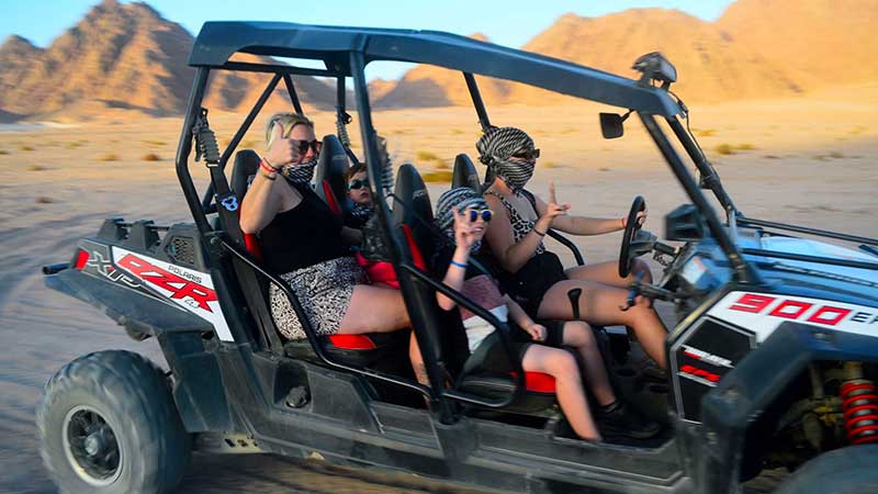 Buggy Family